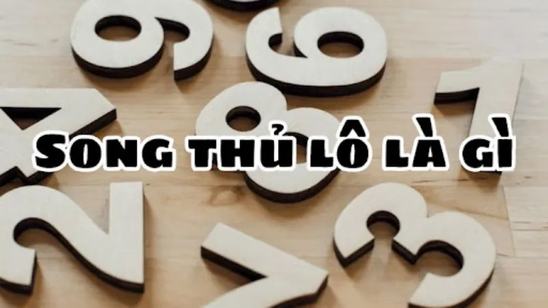 Giới thiệu về song thủ lô